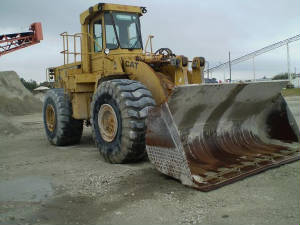 cat980c.jpg