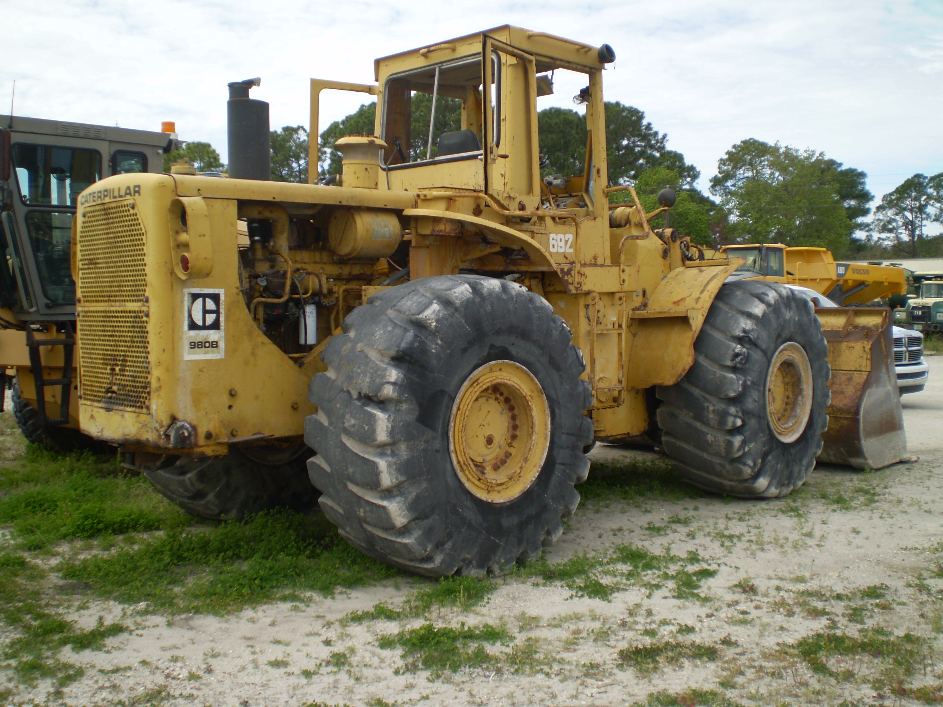 cat980b.jpg